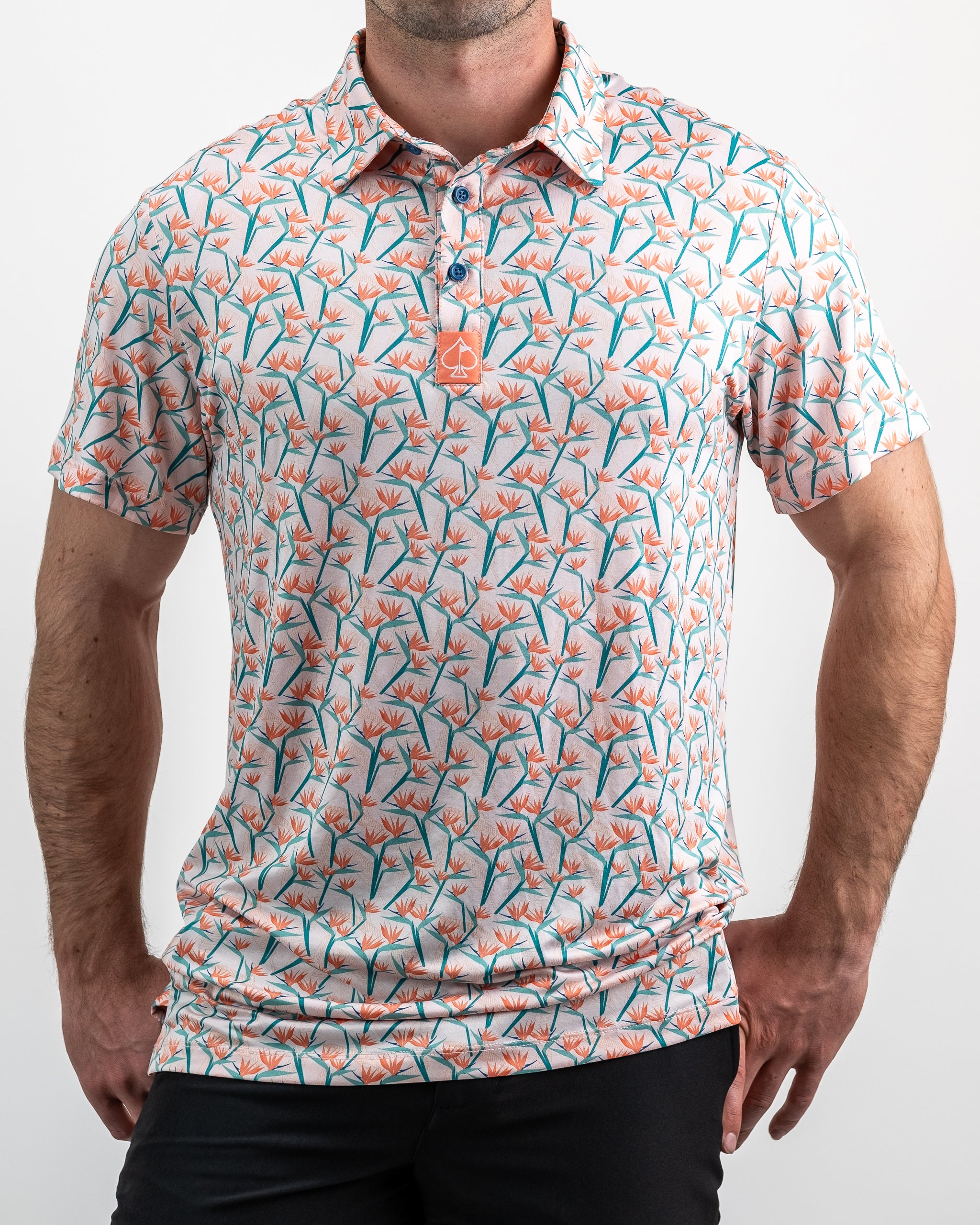 Birds of Paradise
